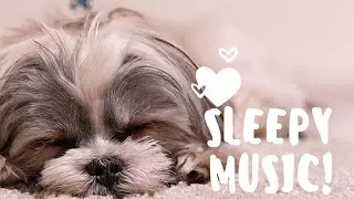 3 mins exploring music stream,relaxing music,study,relief ,sleepy music,calm music,soul comrade