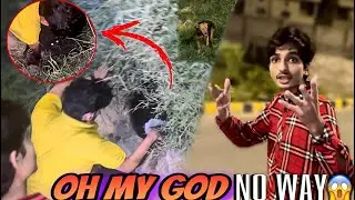 RESCUE 2 DOGS🐶|| DOGS KI JAAN BACHA LY😱|| 