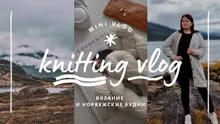 vlog 31/24 | готов мой шикарный базовый кардиган ✨️ выбираю пряжу на новые свитера с жаккардом