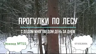 Прогулки по лесу. День за днем с дедом Многоведом. 7 февраля 2024г. Эпизод 755.