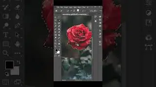 Color isolation effect in photoshop  