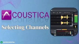 Acoustica 10: Selecting Channels (Working with Stereo and Surround)