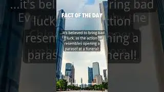 Fact of the Day | Domino Chinese #shorts #mandarincourse #chineselanguage #mandarin #learnchinese