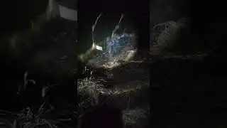 Почему опасно прыгать в прорубь зимой? 