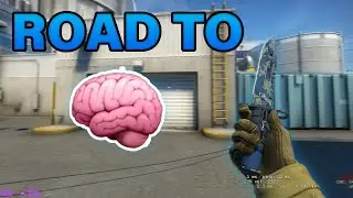 CS:GO - FACIT LEVEL 10 *ROAD TO BRAIN* (DAY 1)