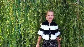 Визитка Шестопалова