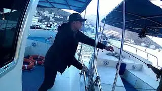 Рыбалак в Крыму Балаклава версия 1.0 (19.02.2022)