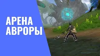 Саргас PW - Паладин | Арена Авроры с лисой и призраком