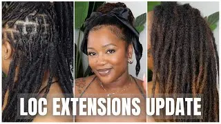 6 Month Loc Extensions Update :: Bleach, Budding + More