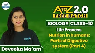 Life Process - Nutrition and The Human Digestive System - Part 4 | Class 10 Biology | CBSE Board