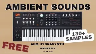 ASM Hydrasynth - Ambient Sounds [Sample Pack] (FREE)