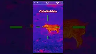 Rix leap 6 thermal , deleting Hogs …. #rixoptics #rixrixnv #shorts #hoghunting