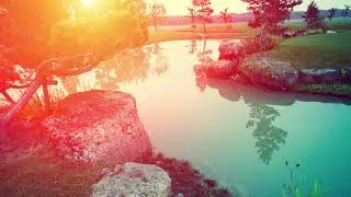 Relax music
