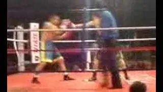 VIKINGO TERRAZAS
