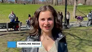 $1 Boston Common Portrait Artist | What's Trending