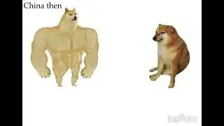 meme timelapse