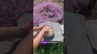 ШАШЛЫК ИЗ ЗУБАТКИ #деревня #рецепт #рецепты #дача #вкусно #еда #шашлыкиззубатки #рыбанаогне #сладкий