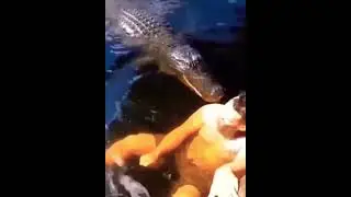Реакція крокодила 😂 #shorts