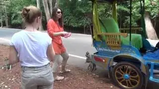 Камбоджа. Атака обезьян по дороге в Ангкор Ват