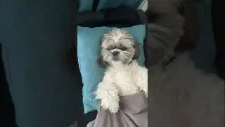 Ai zis sa te las si pe tine... 