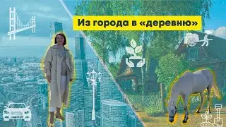 Переезд из Сибири на Юг. Минусы и плюсы сельской жизни.
