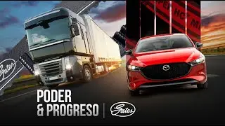 Webinar correas gates
