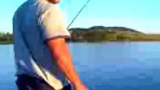 Fish Fight Part 1