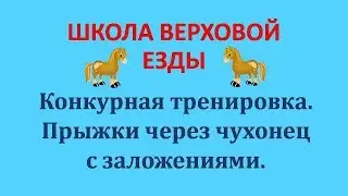 Конкур/Прыжки через чухонец с заложениями