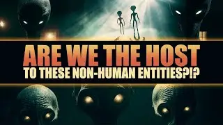 Are we the Vehicles to to Carry out the Agenda of the Non-Human Entities