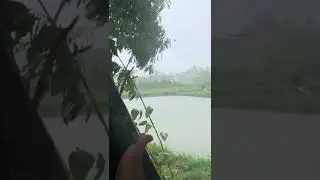 Rain🌧