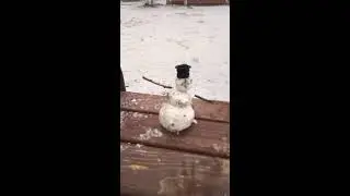 Первый снеговик в моём городе