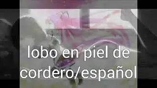 Lobo en piel de cordero