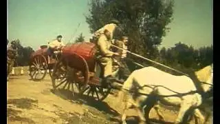 "Стежки-дорожки", 1963 год