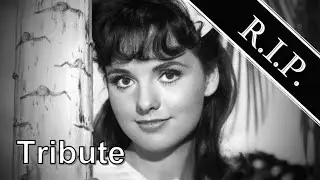Dawn Wells ● A Simple Tribute