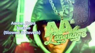 Aarne, Дора - Трезво (𝚂𝚕𝚘𝚠𝚎𝚍 & 𝚁𝚎𝚟𝚎𝚛𝚋)...𝘣𝘺 𝘔𝘦𝘭𝘰𝘯𝘺