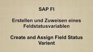 SAP FI - Create and Assign Field Status Variant