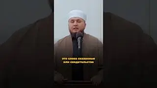 Вы представители пророка Мухаммада