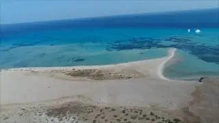 Surf DIve Dance
