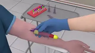 Online Phlebotomy Training Program