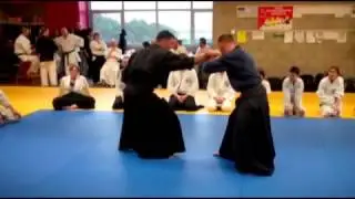 Fudoshin ryu Aiki Jujutsu 2010