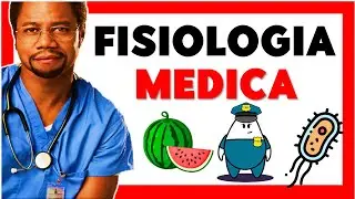 ✅​ ¿Qué es la FISIOLOGÍA? 🫀​​