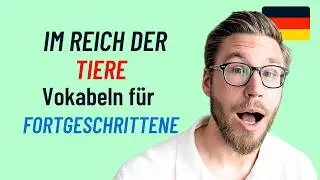 17 Wörter aus der Tierwelt (B1-B2)