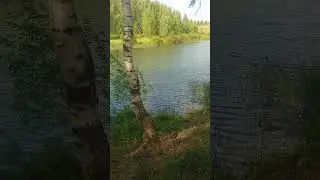 Фестиваль ЖизниГрад 2024(3)
