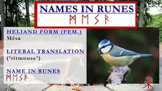 Old Saxon Personal Names Part 7 (Irmingard - Meginuulf)