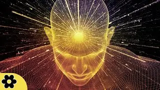 Studying Music, Relaxing Music for Stress Relief, Work Music, Studying, Music for Relaxation, ✿2576C