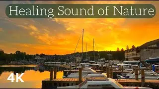 Healing Sound of Nature - Remove you're anxiety and stress | 4K Lake District | Meditation spot