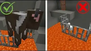 The Animal Balance Test