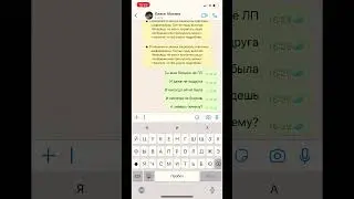 28 июня 2023 г.