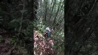 Long Pa’Sia Adventure Trail.