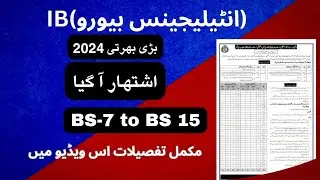 IB jobs In pakistan for 2024 announced: Best Opportunities & How to Apply!
